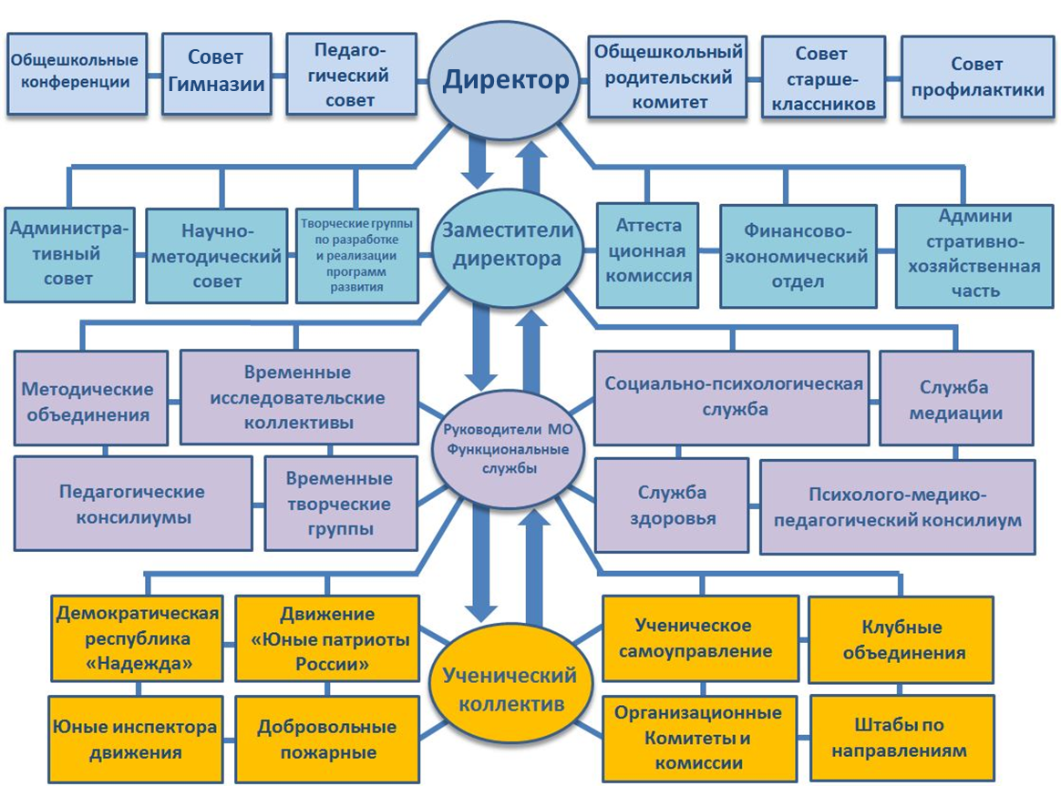 Cтруктура и органы управления образовательной организации - Сайт  муниципального бюджетного общеобразовательного учреждения города  Ростова-на-Дону 